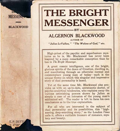 Julius le vallon the bright messenger critical essays 06 picture